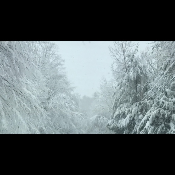 Meet your Posher, Tracy - Picture 2 of 2